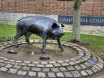 This statue of a Hampshire Hog is located outside County Hall.