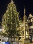 The Christmas tree next to the Butter Cross.