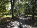 This avenue of trees takes you to the Cathedral.