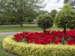 A popular area to relax in the centre of Winchester.