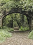 The railway linking Newbury and Southampton ran along here past the Worthy Down Halt towards Chesil Street railway station in Winchester.  Now a public footpath.